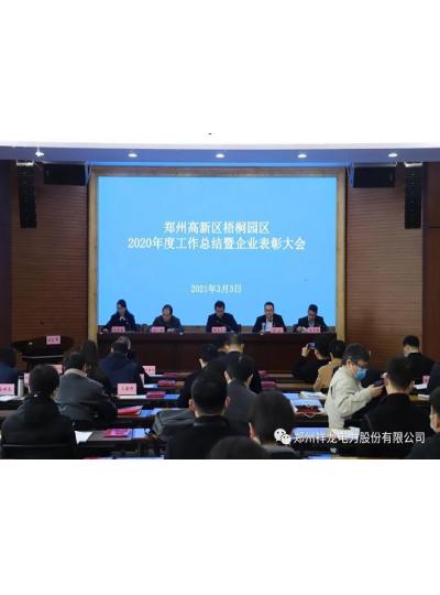 祥龙电力荣获2020年度行业领军优秀企业称号
