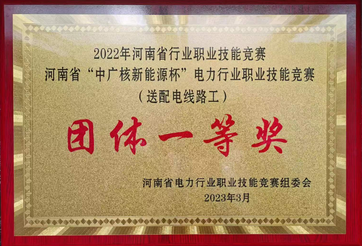 河南省职业技能竞赛一等奖
